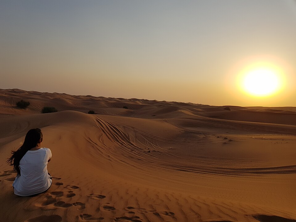 How to Plan the Perfect Desert Dining Experience in Abu Dhabi