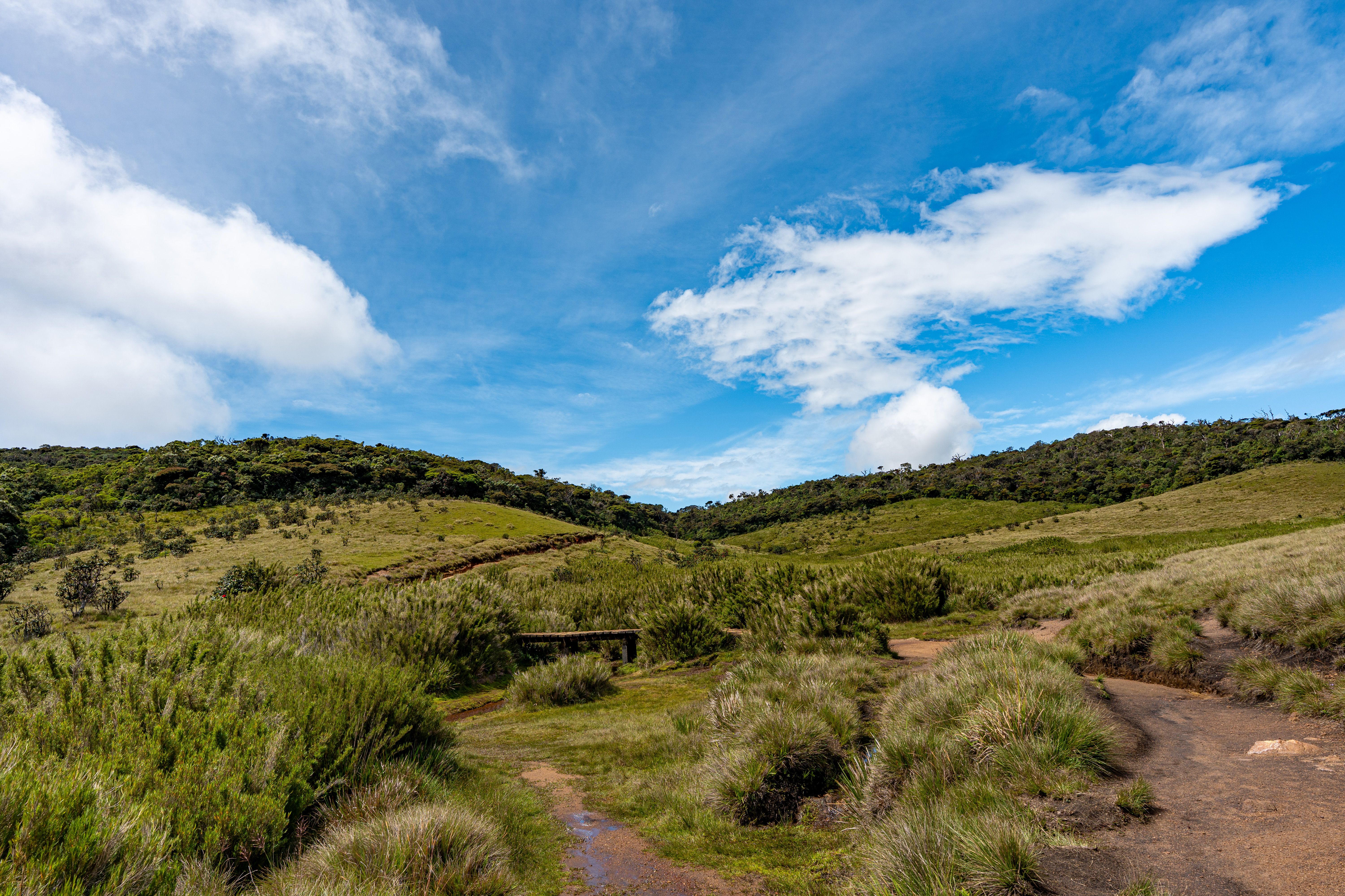The Ultimate Guide to Visiting Nuwara Eliya: Top Places You Shouldn't Miss