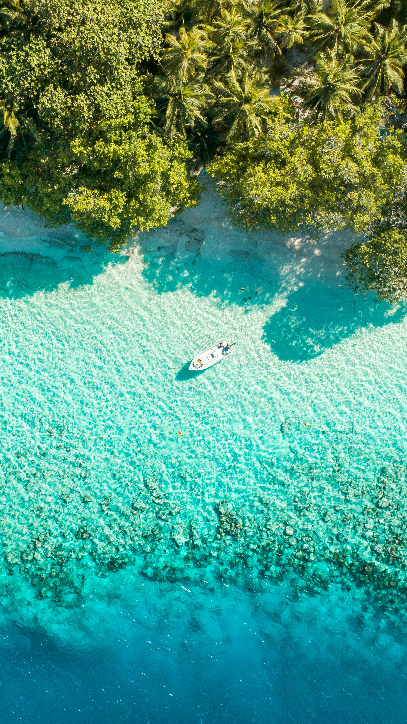 Maldives on a Schedule A Low Stress Five Day Family Itinerary