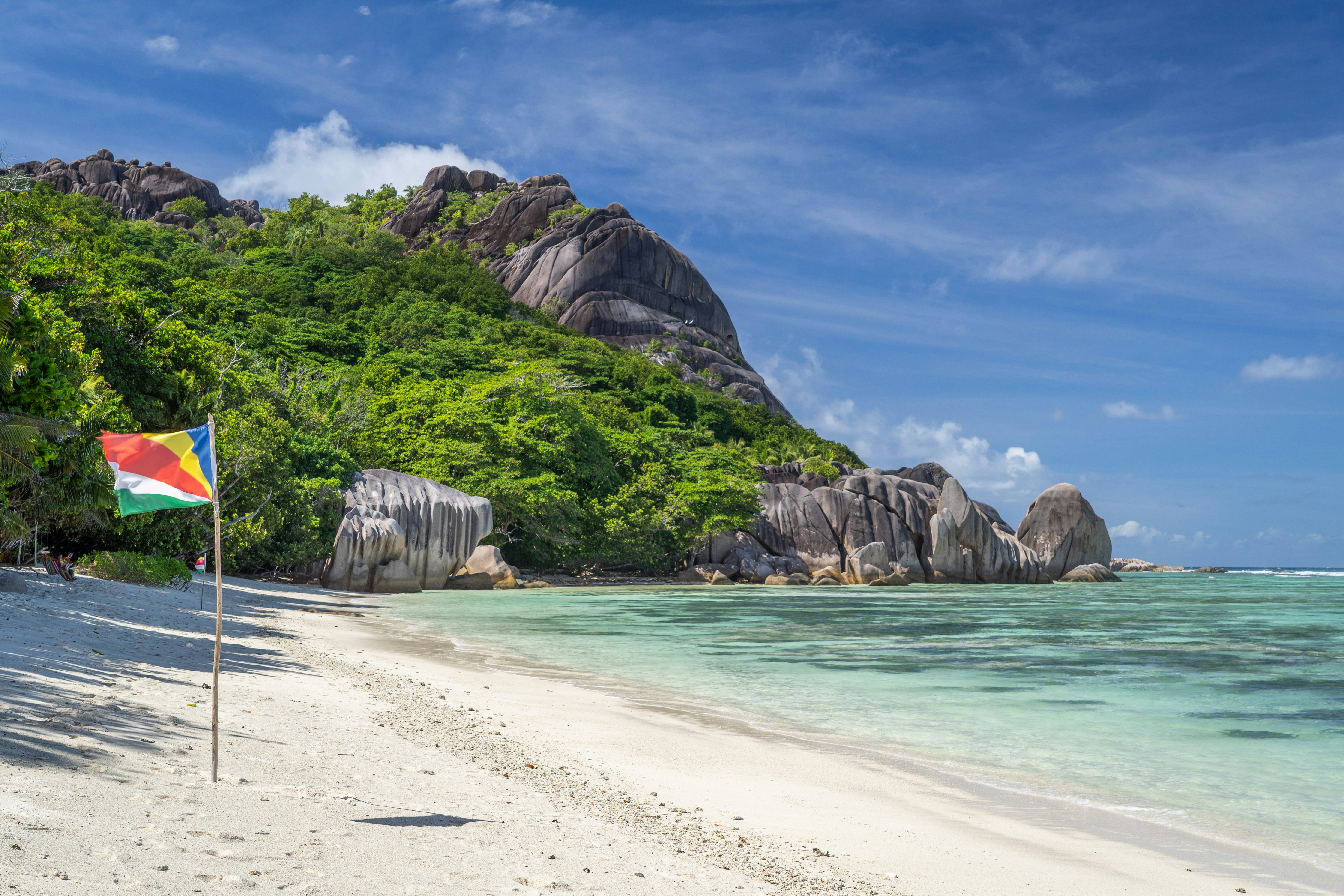 Bird Watching in Seychelles: Endemic Species and Nature Reserves