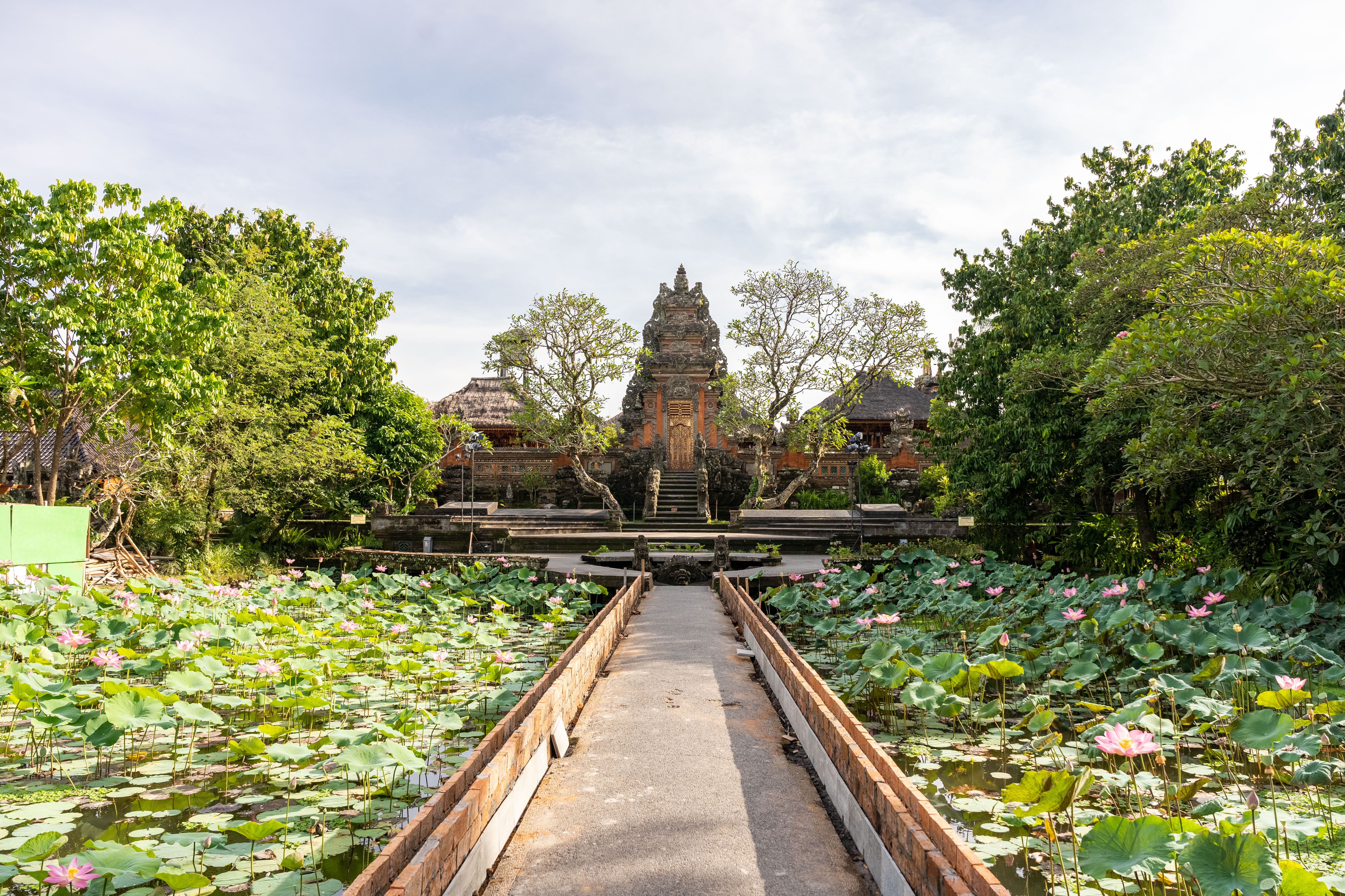 What are the best things to do in Ubud beyond the Monkey Forest?